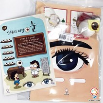 사이언스존 [꿈과-인체의 비밀-눈 (눈구조) 1인용] 과학실험키트 학습교구세트
