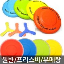 로싸 우야몰 원반 애견 플라잉디스크 로싸원반 부메랑 훈련 폼원반 프리스비, 02.뉴로싸원반-블루, 1개