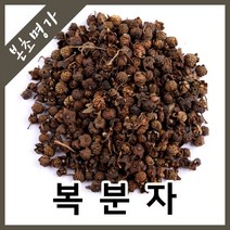 본초명가 복분자 말린복분자, 600g, 1개