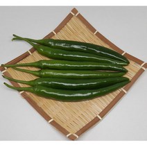 산들팜 롱그린고추, 1박스, 특품5kg