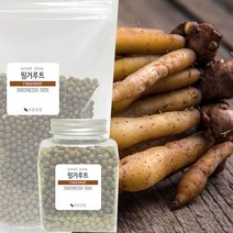 바른건강 판두라틴이 풍부한 핑거루트 환 FINGERROOT, 300g, 1개