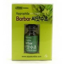 피쉬앤닷컴 이스타 바바 씨앗수초 S[1통]