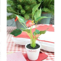 더리얼스 크리스마스 화분 안시리움 안시륨 안투리움 30cm