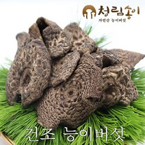 (청림송이.능이) 햇 자연산 능이버섯 (특품)건조, 1개, 건조능이B급/100g
