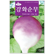 무 강화순무씨앗 2000립 무씨앗, 1개