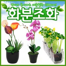 호가 화분조화 호접란 장미 인테리어 조화 화분 장식, 포인트 화분조화 카네이션 퍼플(-2400원)