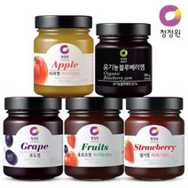 청정원 과일잼 쨈 370gx2개 4종선택 혼합가능, 1개, 06 포도잼1+후르츠잼1