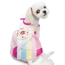 해피앤퍼피 한복_매듭오색개량드레스_수23, 매듭오색