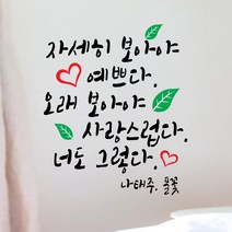 페이퍼스토리 명언스티커 감성글귀 인테리어 매장 카페 아이방 캘리그라피 A30.풀꽃 스티커, 레드