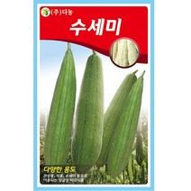 갑조네 열매 채소류 씨앗 모음, 수세미(씨앗), 1개