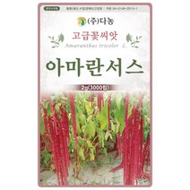 갑조네 민속특수 씨앗 모음, 아마란서스(씨앗), 1개