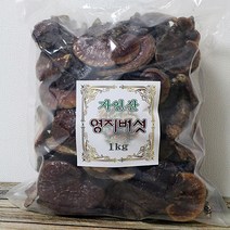 다온약초 국산 자연산 영지버섯, 1개, 1kg