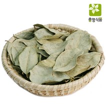 총명식품 국내산 구아바잎, 100g, 1개, 1개