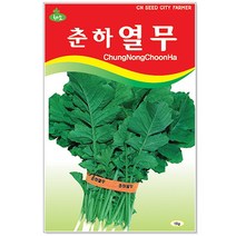 흑금장파 씨앗 2000립 / 채소씨앗 파 파씨 파씨앗, 13_춘하열무(15g)