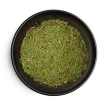 [동광한방몰] 측백 국내산 600g, 1팩, 600