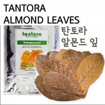 탄토라 알몬드 잎 M 수질개선 수질안정, 1개