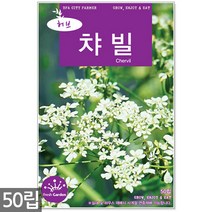 카모마일 씨앗 500립 / 허브씨앗 캐모마일 카모마일씨앗 허브씨 허브 꽃씨앗 씨, 12_허브_챠빌(50립)