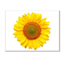 [인테리어 배전함가리개] 두꺼비집가리개 두꺼비집 커버 액자, 금전운 해바라기액자