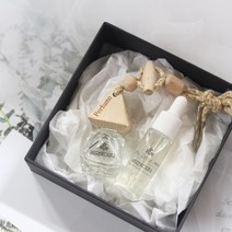 허브코리아 차량용디퓨저파격세트B형(걸이형), 1개, 삼각뿔-찬스