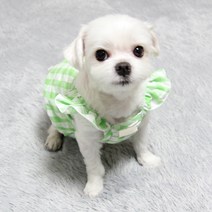 도기코디 체크크롭 강아지옷 나시, 연두