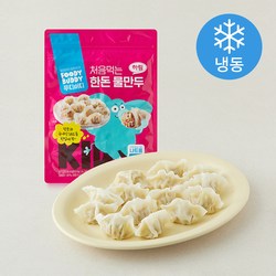[로켓프레시] 푸디버디 처음먹는 한돈 물만두 (냉동), 500g, 1개