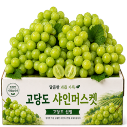 [30박스한정] 최고20brix 망고 고당도 샤인머스캣, 1박스, 2kg