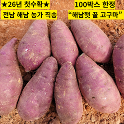 [26년첫수확]초특가 산지직송 해남 꿀고구마, 1박스, 10kg(중)