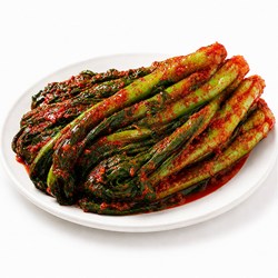 돌산댁 주문제작 국산 전라도 여수 돌산갓김치, 5kg, 1개