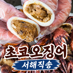 [산지직송] 국내산 생물 초코오징어 통찜용