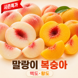 [시즌한정특가] 100박스한정 초고당도 말랑이 복숭아, 1박스, 2kg (황도)