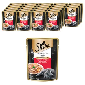 쉬바 고양이 주식 파우치