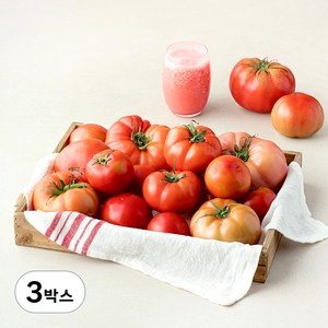 주스용 못난이 토마토