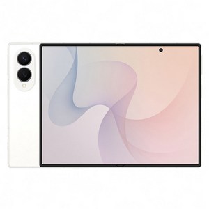 삼성전자 Galaxy Z Fold8 자급제 SM-F971N