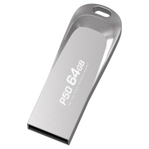PLEIGO USB 메모리 P50