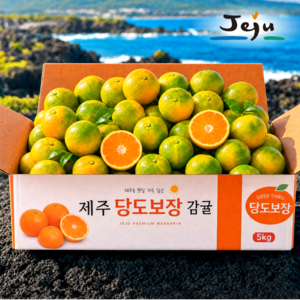 [서귀포농장직판] 11brix 당도선별 귤 제주 감귤 초특가