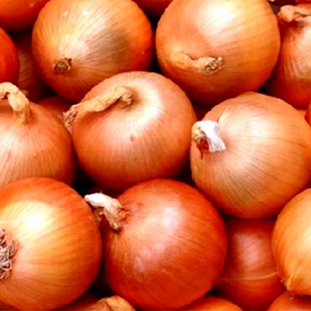 42e3daa30e560d03c97e38577a0bbd6c1654739e88e4a71cf2ca7903346f.jpg