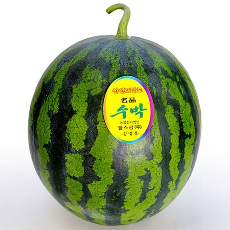 3b096557bb1c4d5dd9d530c6c25182f49f0e93c753aa4e8ae495ce9937d2.jpg