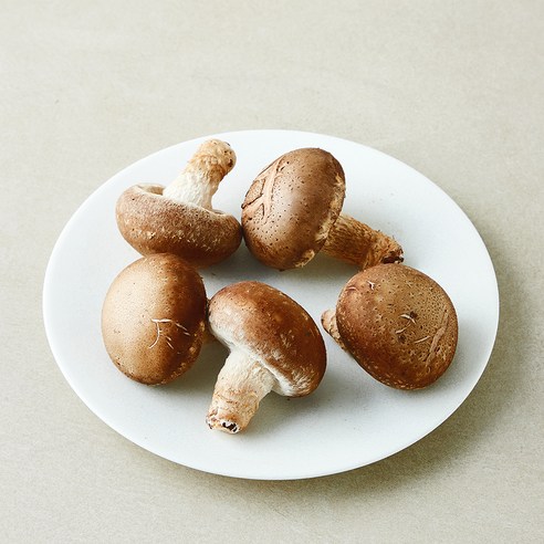 [로켓프레시] 친환경 인증 송화버섯