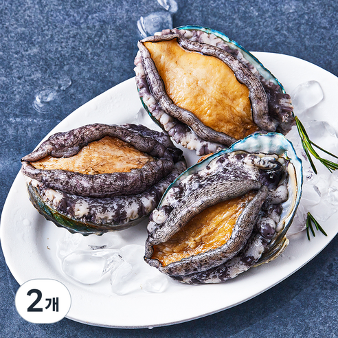 [로켓프레시] 아라보감 완도 산지직송 전복 (냉장)