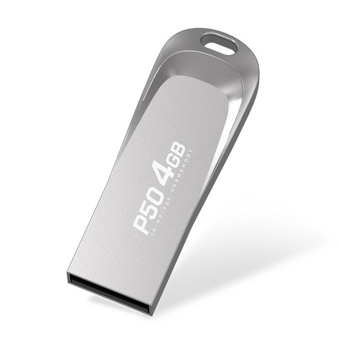 PLEIGO USB 메모리 P50, 4GB, 1개