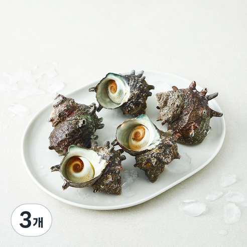 [로켓프레시] 완도맘영어조합법인 자연산 뿔소라 5~10마리 (냉장), 3개, 1kg 내외