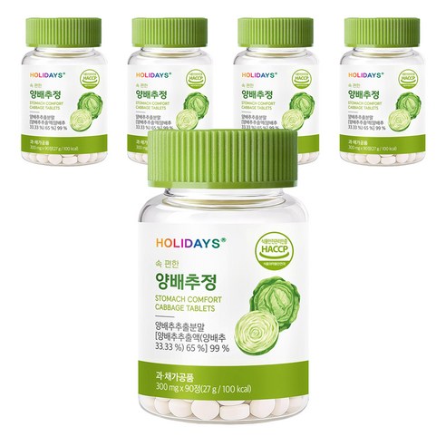 홀리데이즈 속 편한 양배추정