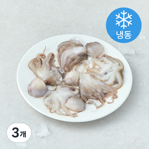 [로켓프레시] 비비수산 살아있을때 얼린 주꾸미 (냉동)