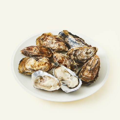 [로켓프레시] 아라보감 알이 꽉찬 550일 생물 석화 (냉장), 1개, 2kg