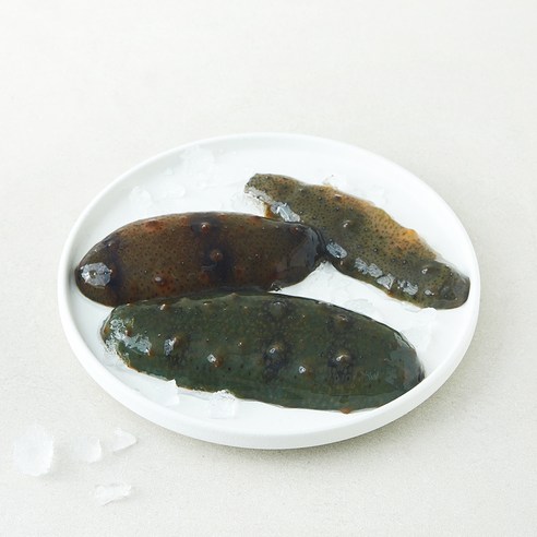 [로켓프레시] 중앙씨푸드(주) 국내산 남해안 해삼 (냉장)