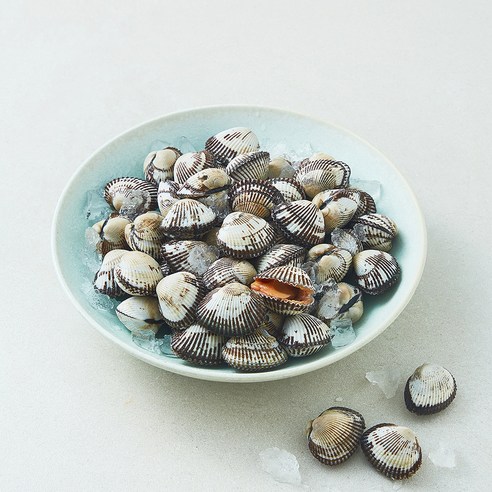 [로켓프레시] 아라보감 여수 생물 새꼬막 (냉장), 1개, 1kg