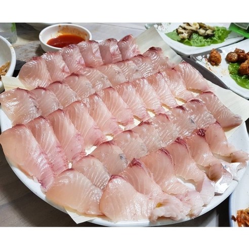 [당일조업] 채낚기 삼치회 자연산 대삼치 생물 횟감