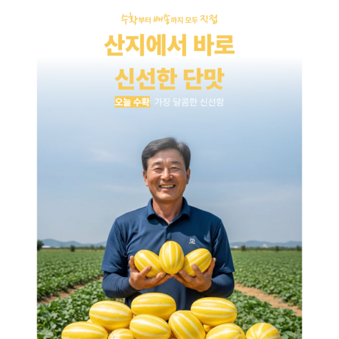 [스타몽키] 26년 햇 상주 꿀참외가 왔어요 봄 제철과일 중 으뜸 달콤 아삭 향긋
