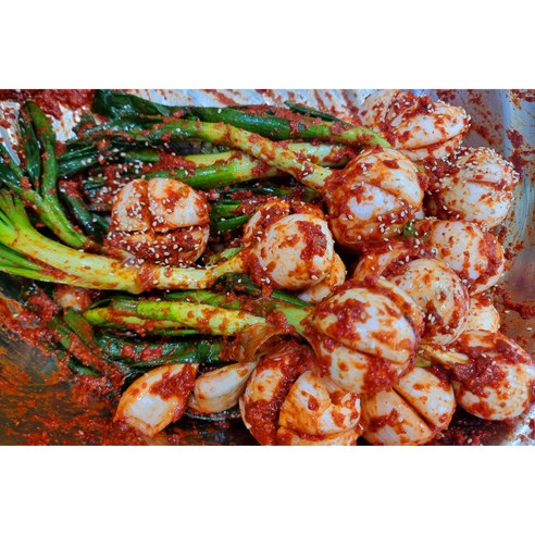 전라도김치 (맛인정) 양파줄기김치 (전라도 일로 황토밭 재배/제철 줄기양파)당일제조 당일발송