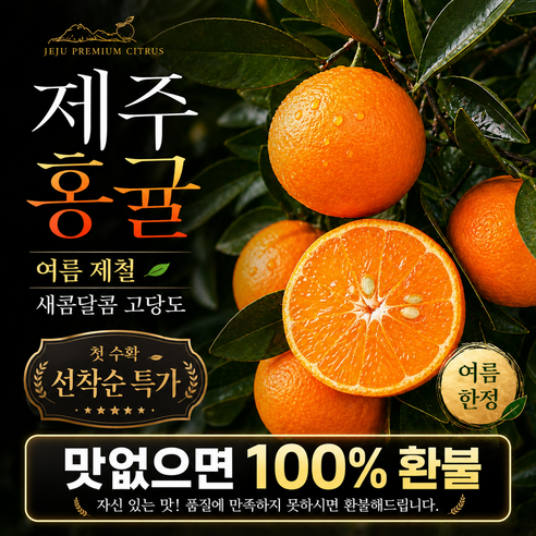 [강력추천] GAP 제주 홍귤 세미놀귤 홍매향 홍미향 썬레드